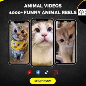 Funny Animal Reels Bundle
